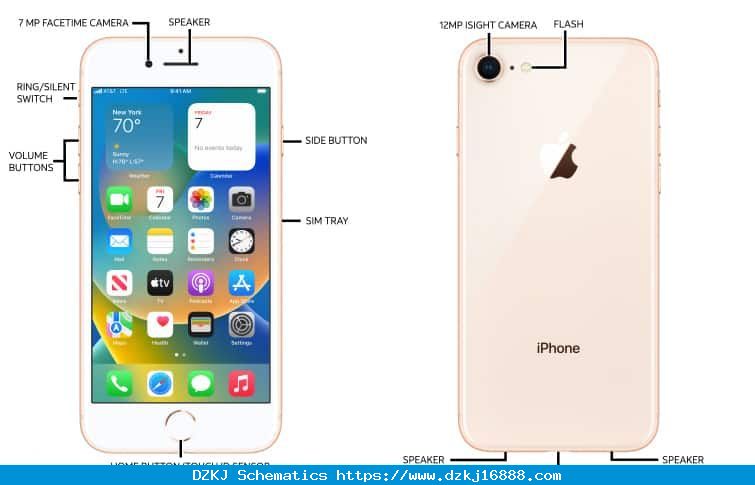 Apple IPhone 8 / 8 Plus Diagram